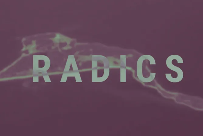DARPA RADICS program — power grid security research