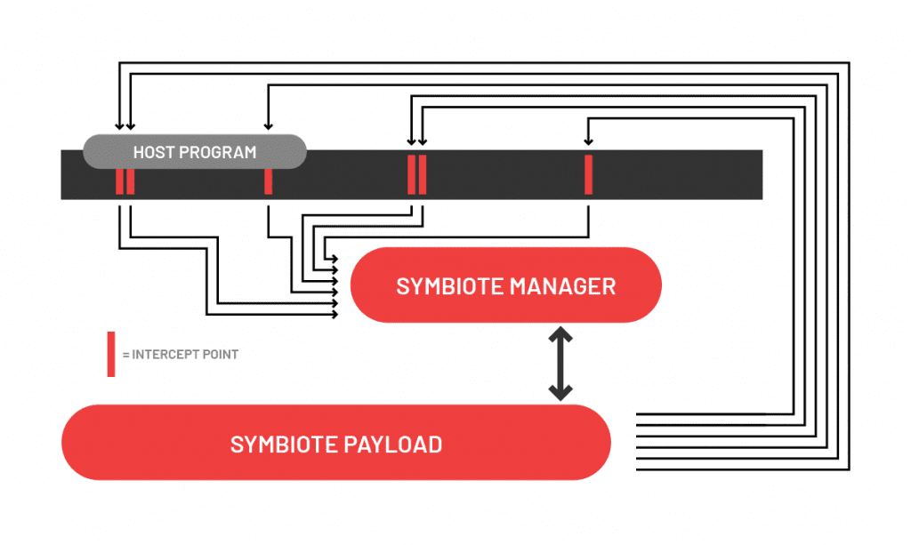 Diagram of the Symbiote Manager injecting the Symbiote payload into a host program