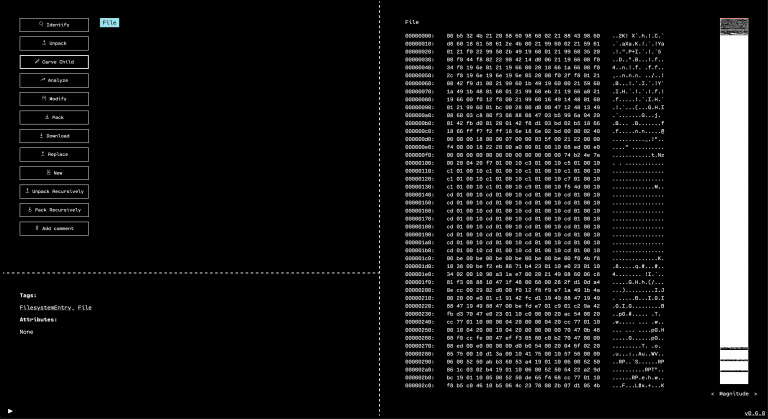 Badge firmware opened in a hex and structure editor